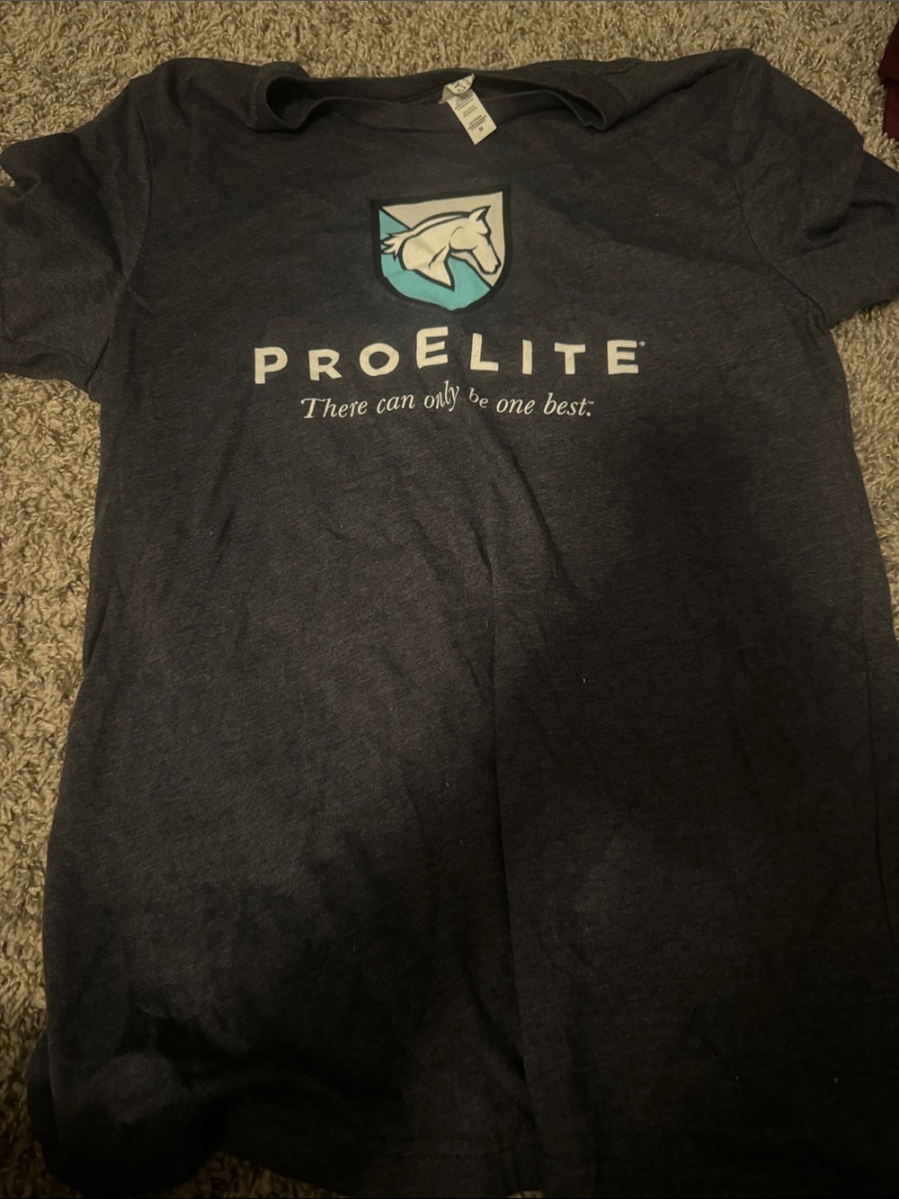 Women's Dark Gray Logo Short Sleeve Tee